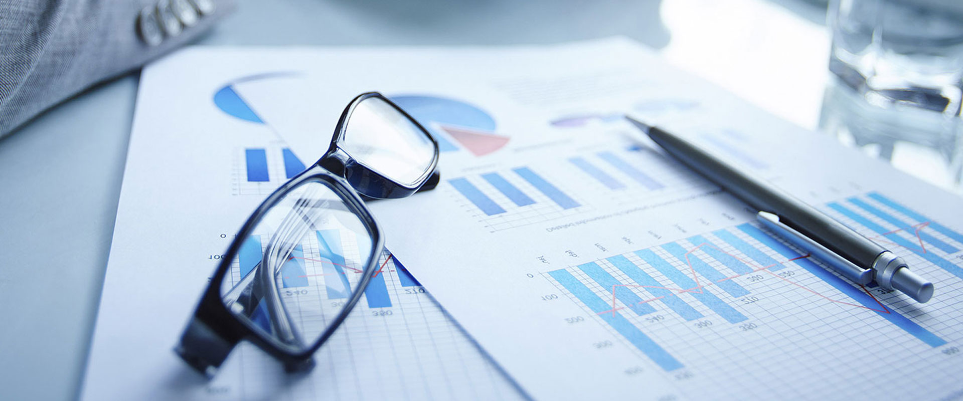 SAP Support Services and Rollouts - Delmon